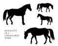 A set of silhouettes of horses, on a white background Royalty Free Stock Photo